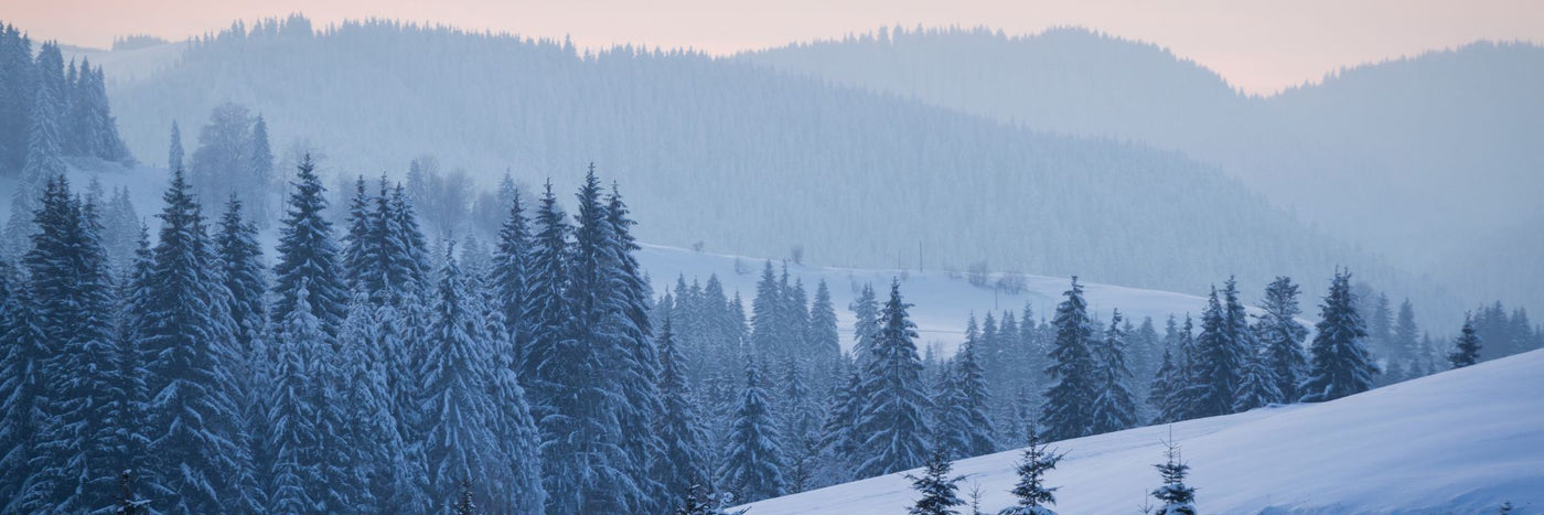 Snowshoes - Northern Lites - Scenic Snowshoe Trails