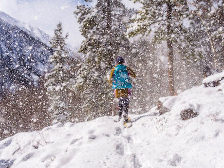 snowshoes - northern lites - beginners