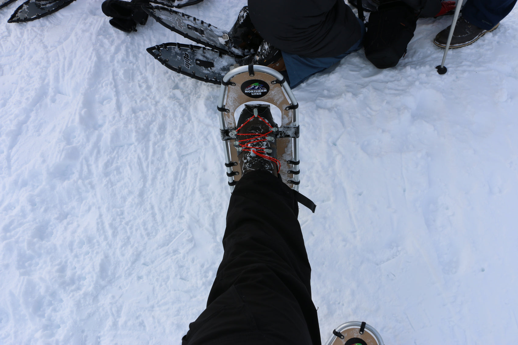 snowshoes - northern lites - speed bindings