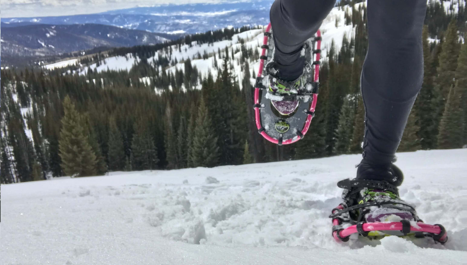 Beginner's Guide to Snowshoeing