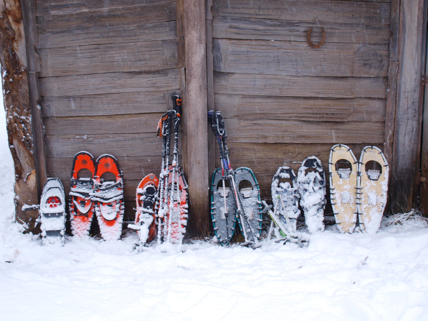 snowshoes - northern lites - types