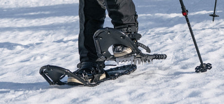 Snowshoe Terminology