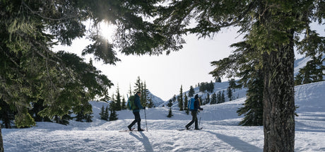 snowshoes - northern lites - how to