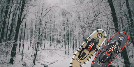 snowshoes - northern lites - vermont