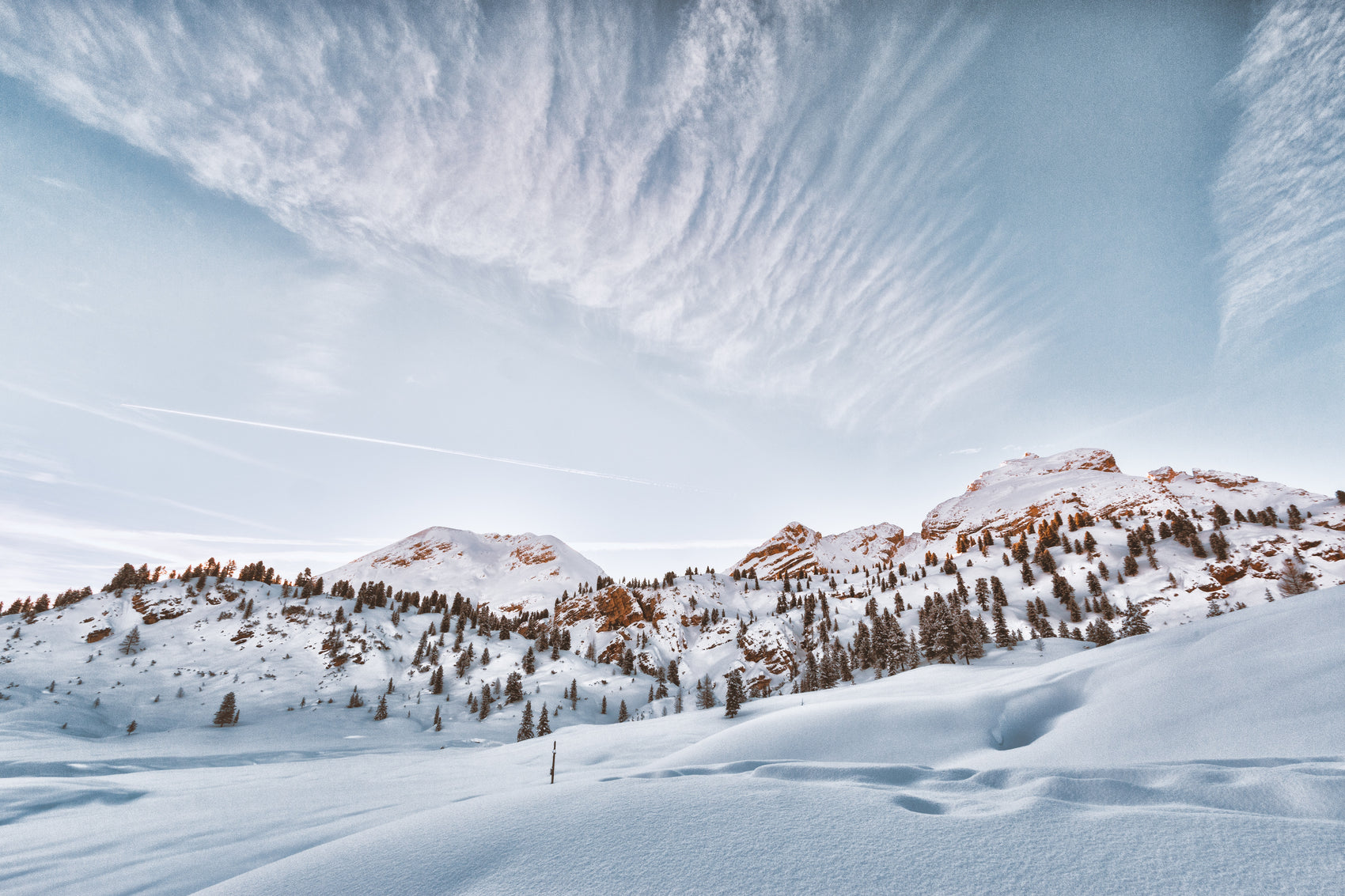 Top 3 Snowshoe Trails For Beginners Out West This Winter 2019