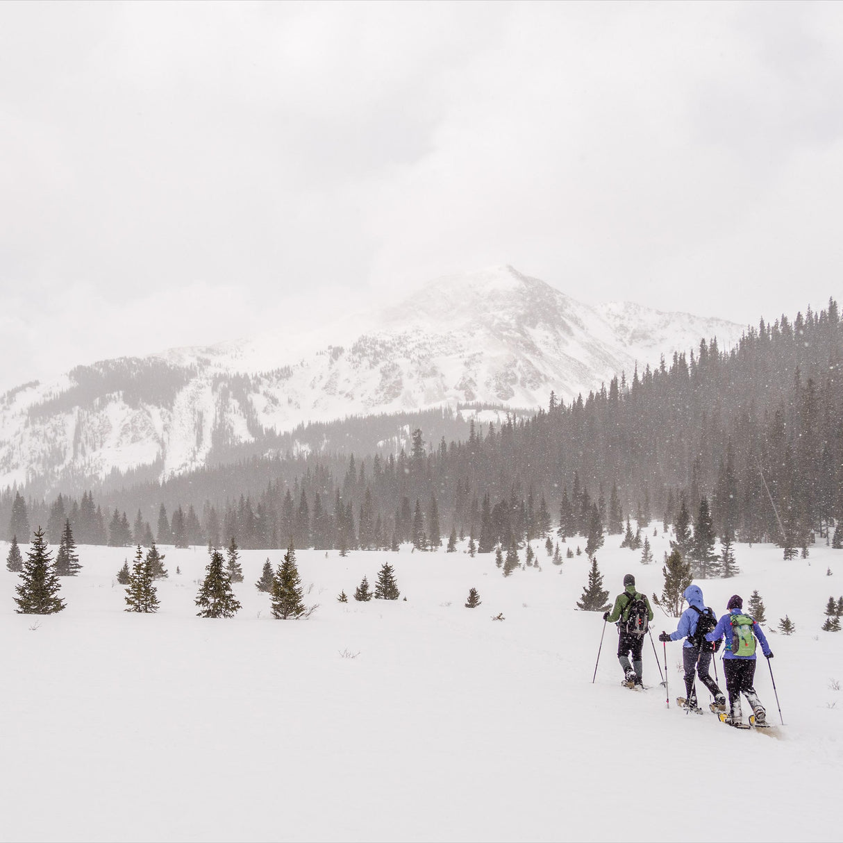 Snowshoer trekking through snowy forest with Quicksilver unisex snowshoes